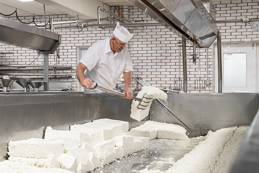 Fromage-St-Georges-Fromagerie-Proulx-1-10 copie