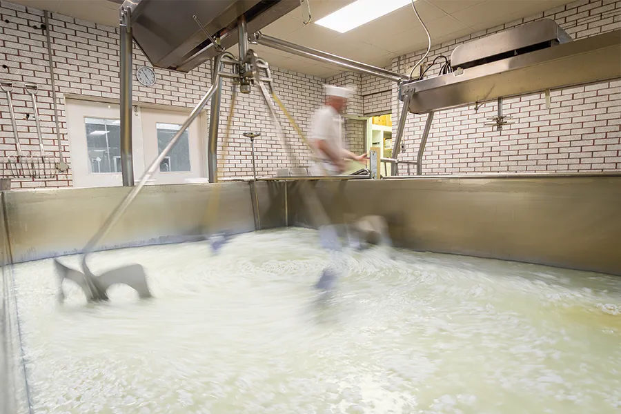 Fromage-St-Georges-Fromagerie-Proulx-1-8 copie